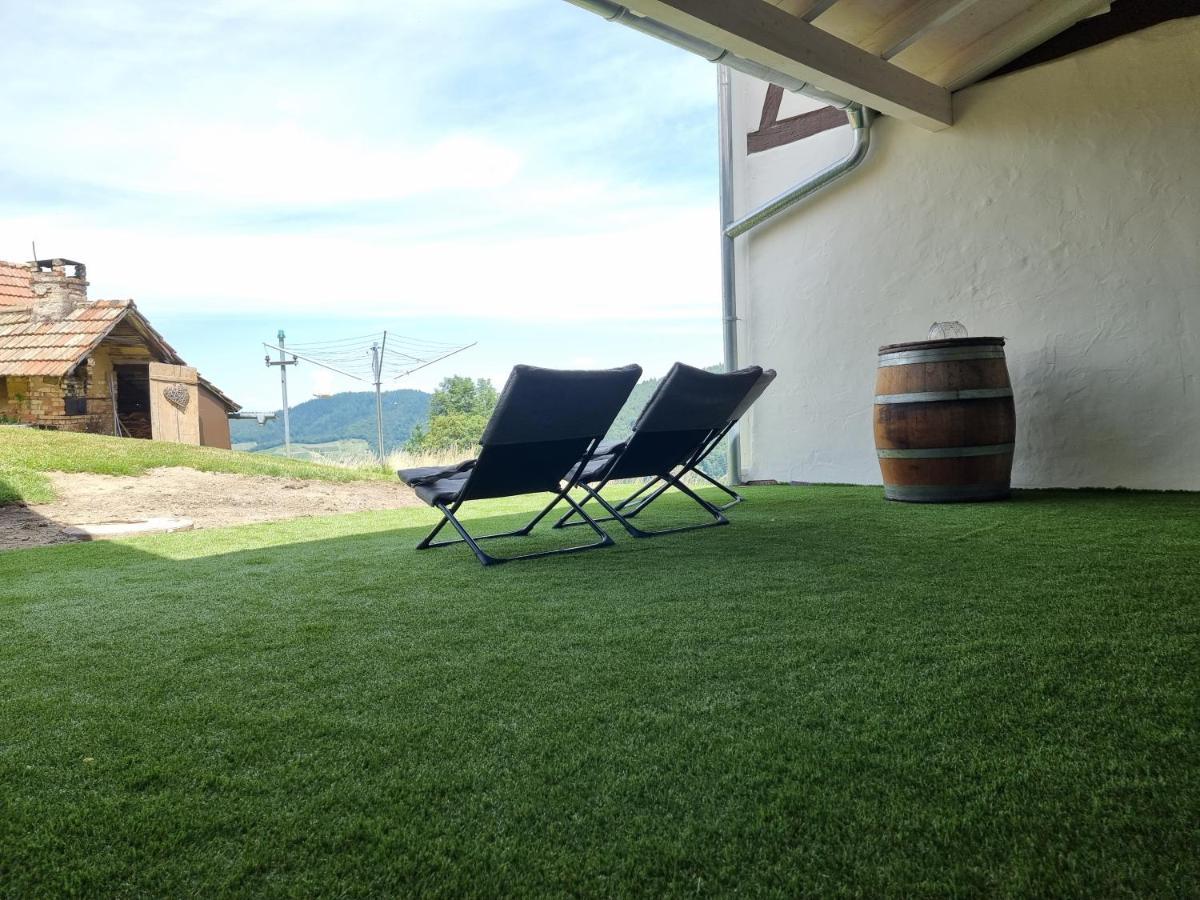 Вилла Haus Am Berg Mit Wellnessbereich, Bar Und Panorama Бюлерталь Экстерьер фото