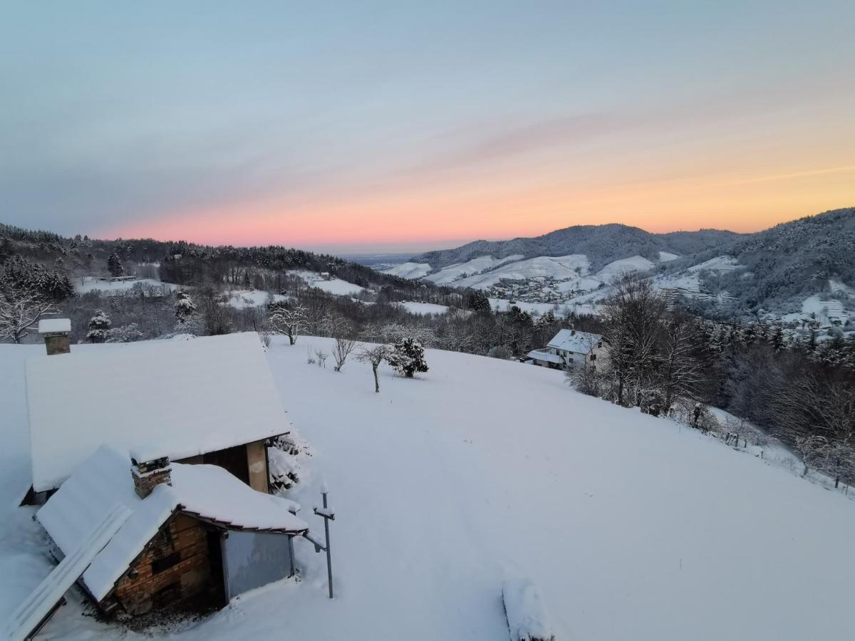 Вилла Haus Am Berg Mit Wellnessbereich, Bar Und Panorama Бюлерталь Экстерьер фото